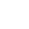 Bank-Level Data Security