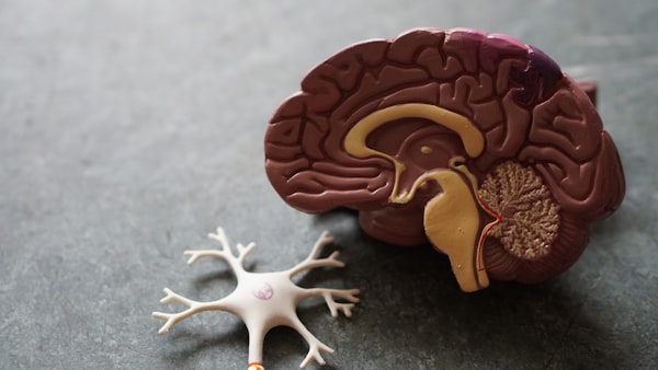 Doctors reviewing MRI scans