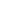 Vision